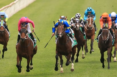 Ipswich tips for 06.11.2025