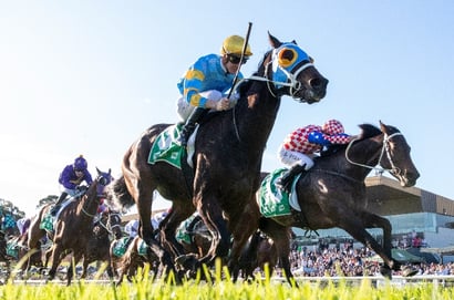 Ipswich tips for 08.08.2025