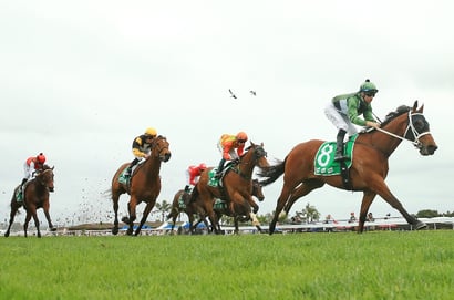 Ipswich tips for 15.01.2026