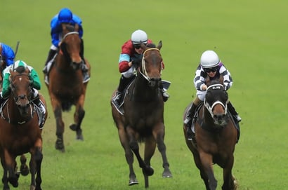Ipswich tips for 17.12.2025