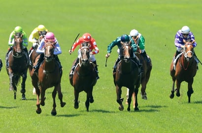 Ipswich tips for 21/05