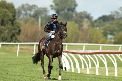 JJ Atkins 2025 Betting Odds - Cool Archie heads the early market