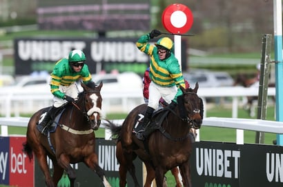 Jagwar  Grand National 2026 Odds
