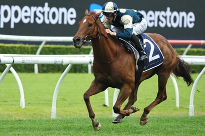 Doomben 10000 Racing Tips - Jimmysstar the one to beat at soggy Doomben