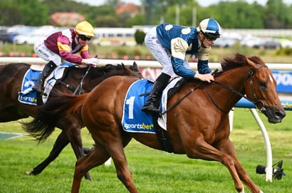 William Reid Stakes Racing Tips - Jimmysstar to explode first-up to win the Group 1 William Reid Stakes