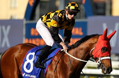 Kingsford Smith Cup Tips - Joliestar the one to beat in Brisbane Group 1 