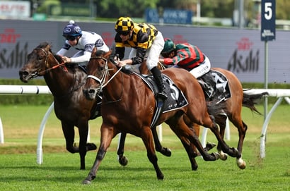 Canterbury Stakes Tips – Joliestar the one to beat with promising youngster to press claims