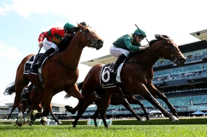 Early Golden Slipper Clues From Rosehill’s Juvenile Features