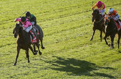 Kalgoorlie tips for 03.10.2026