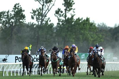 Kembla Grange Horse Racing