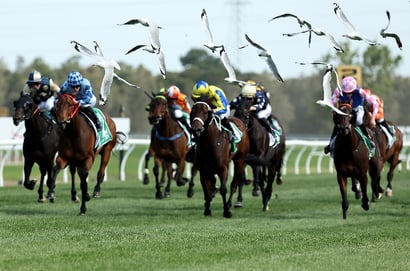 Kembla Grange Racing
