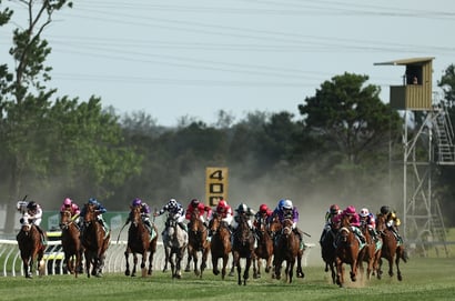 Kembla Grange Tips for 01.08.2025