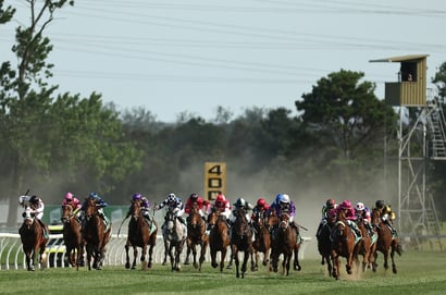 Kembla Grange Tips for 22.11.2025