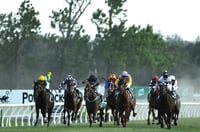 Kembla Grange Tips for 25.02.2025