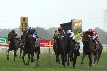 Kembla Grange tips - 02/06