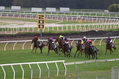 Kembla Grange tips for 07.08.2025