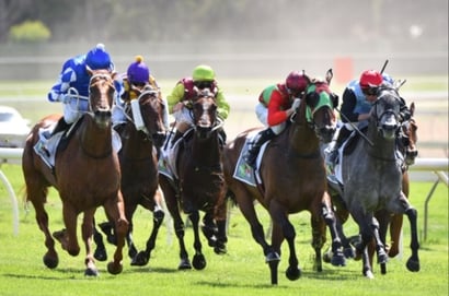 Kilmore Tips for 20.05.2025