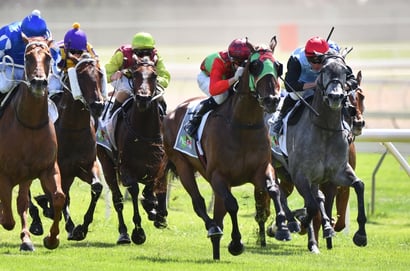 Kilmore Tips for 20.05.2025