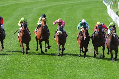 Kilmore tips - 13/10