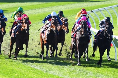 Kilmore tips - 31/03