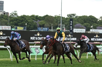 King Charles III Stakes 2025 Betting Odds - Fangirl Market Elect for Group 1 Mile