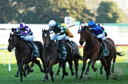 Kingsford-Smith Cup 2025 Betting Tips - Kimochi is value