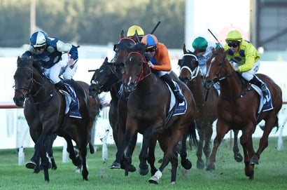 Kingsford-Smith Cup tips