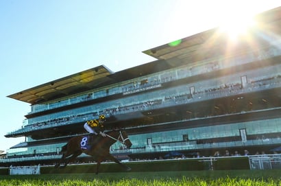 Kingsford-Smith Cup 2025 Betting Odds - Joliestar shades Giga Kick