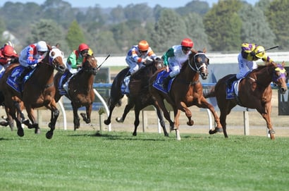 Kyneton tips for 08.10.2026