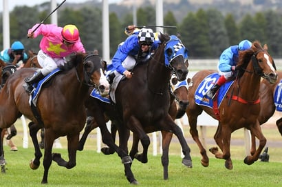 Kyneton tips for 11.12.2025