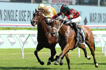 Surround Stakes Tips – Tempted primed for Group 1 breakthrough
