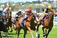 Launceston Tips for 26.02.2025