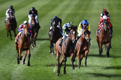 Launceston tips for 16.09.2026