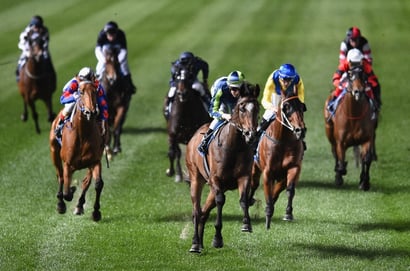 Launceston tips for 21.11.2025