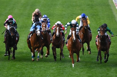 Launceston tips for 26/11