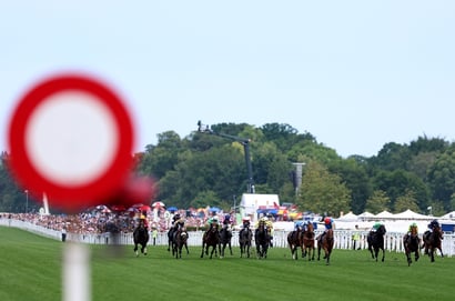 Lazzat Ascot