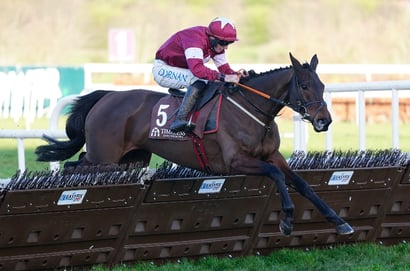"We're going for the Champion" - Brighterdaysahead confirms Cheltenham target with Leopardstown win