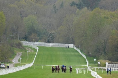Lingfield Derby Trial