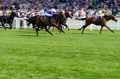 Zac Lloyd Lands First Royal Ascot Winner Aboard Moonfall
