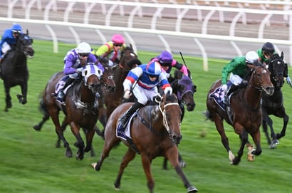Flemington Racing Tips for June 20 – Track specialist to win some more down the straight