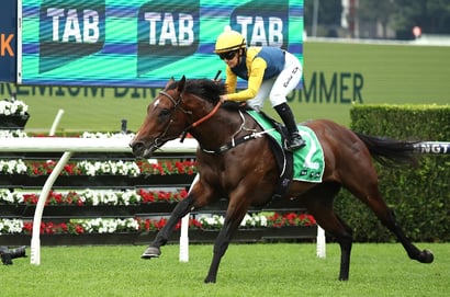 MM 2yo tips
