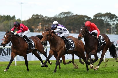 Magic Millions 3YO Guineas 2026 Betting Odds - Ninja an Odds-On Favourite