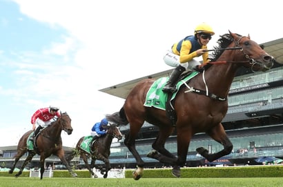 Magic Millions 2YO Classic 2026 Betting Odds - Warwoven Leads The Market