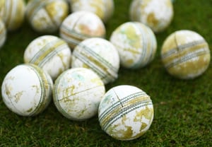 Maharashtra Premier League (Getty Images)