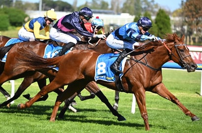 Manikato Stakes Tips