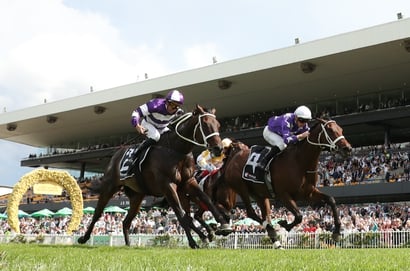Rosehill Group 1 Fields for March 28 - Vinery Stud Stakes & Tancred Stakes Runners Revealed