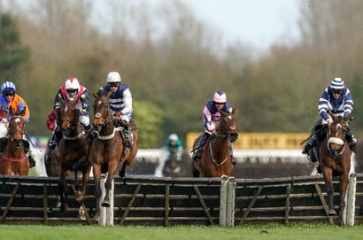 Mares' Novices' Hurdle newbury