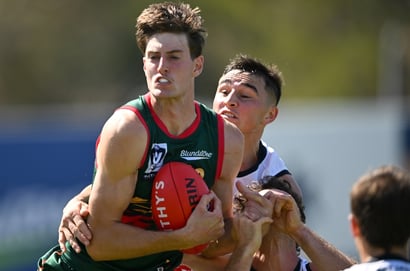 Tasmania Finally Has Proof The Devils Pathway Is Working