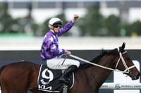 Melbourne Cup Tips 2026
