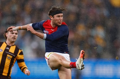 Melbourne Demons vs Hawthorn Hawks Tips - Hawks to bounce back and give Demons reality check